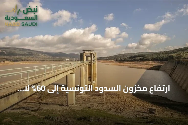 ارتفاع مخزون السدود التونسية إلى 60% لا يمنع استمرار انقطاعات المياه