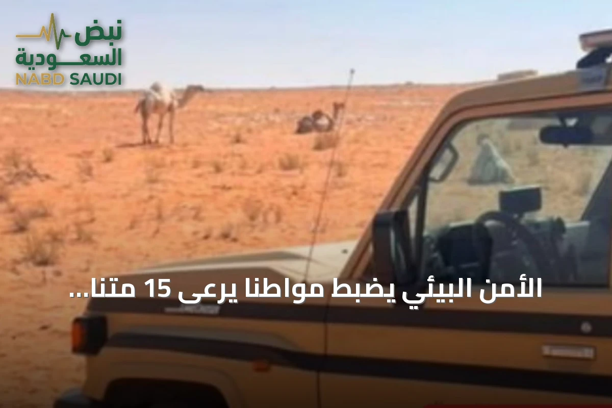 الأمن البيئي يضبط مواطنًا يرعى 15 متنًا من الإبل داخل محمية الإمام تركي بن Abdullah