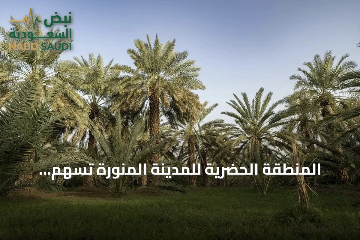 المنطقة الحضرية للمدينة المنورة تسهم بنسبة 18% من إنتاج المملكة من التمور