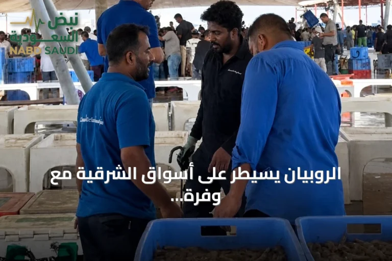 الروبيان يسيطر على أسواق الشرقية مع وفرة كميات وارتفاع طفيف في الأسعار