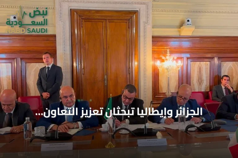 الجزائر وإيطاليا تبحثان تعزيز التعاون الأمني لمكافحة الهجرة غير النظامية