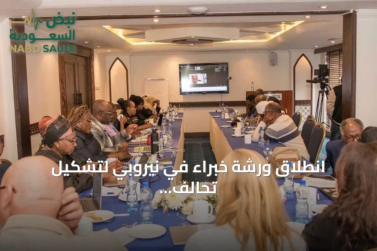 انطلاق ورشة خبراء في نيروبي لتشكيل تحالف إفريقي مناصر للسودان