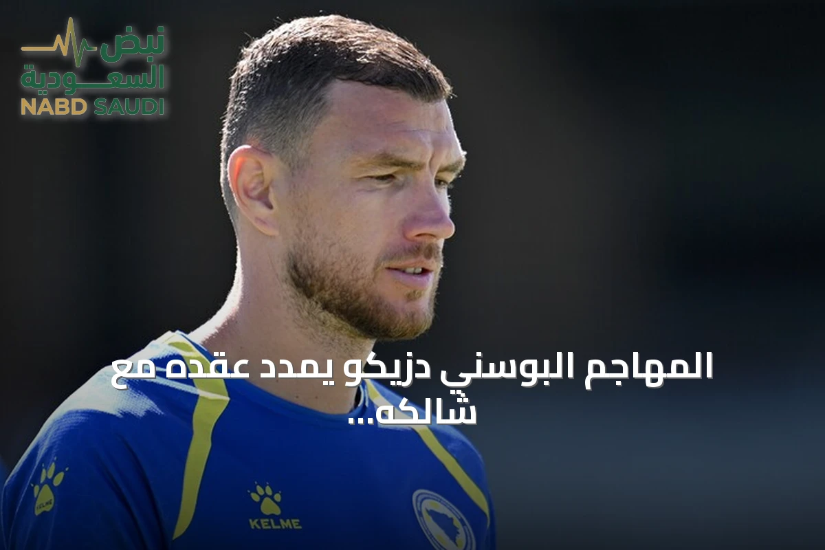 المهاجم البوسني دزيكو يمدد عقده مع شالكه لموسم إضافي