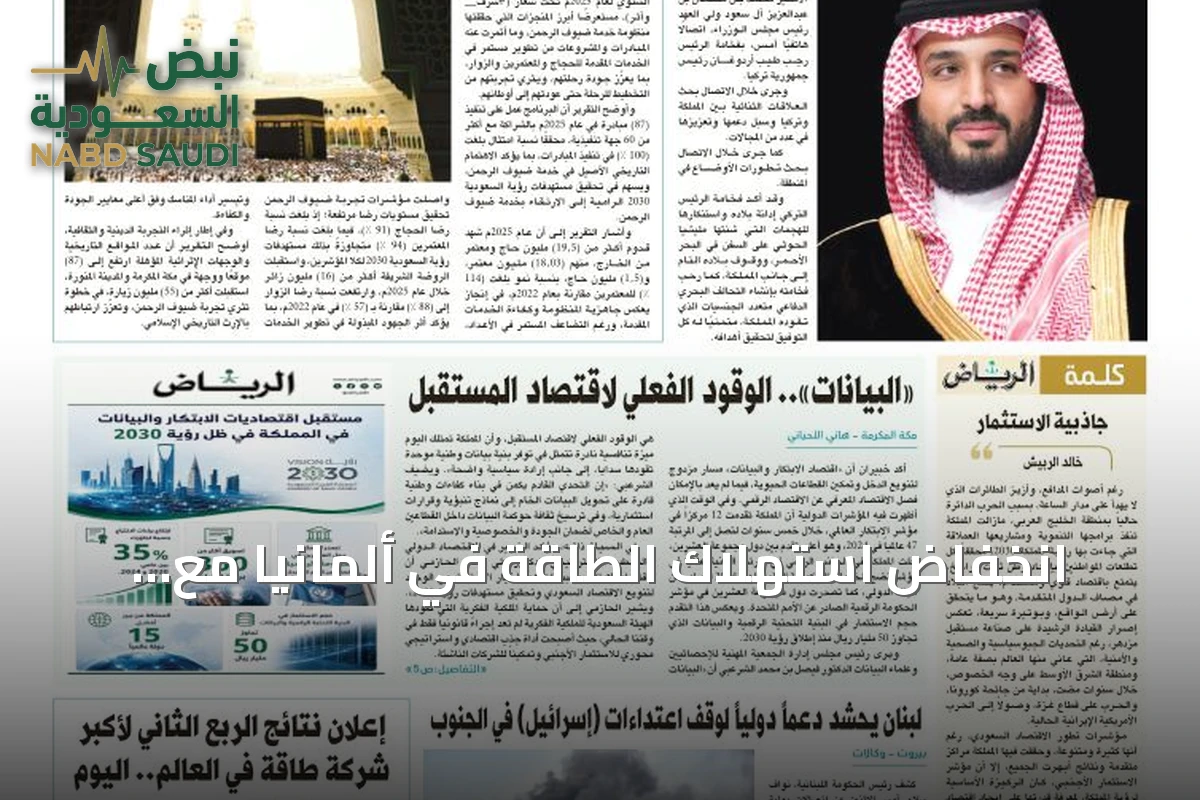انخفاض استهلاك الطاقة في ألمانيا مع تحولات في استهلاك الوقود والمتجددة