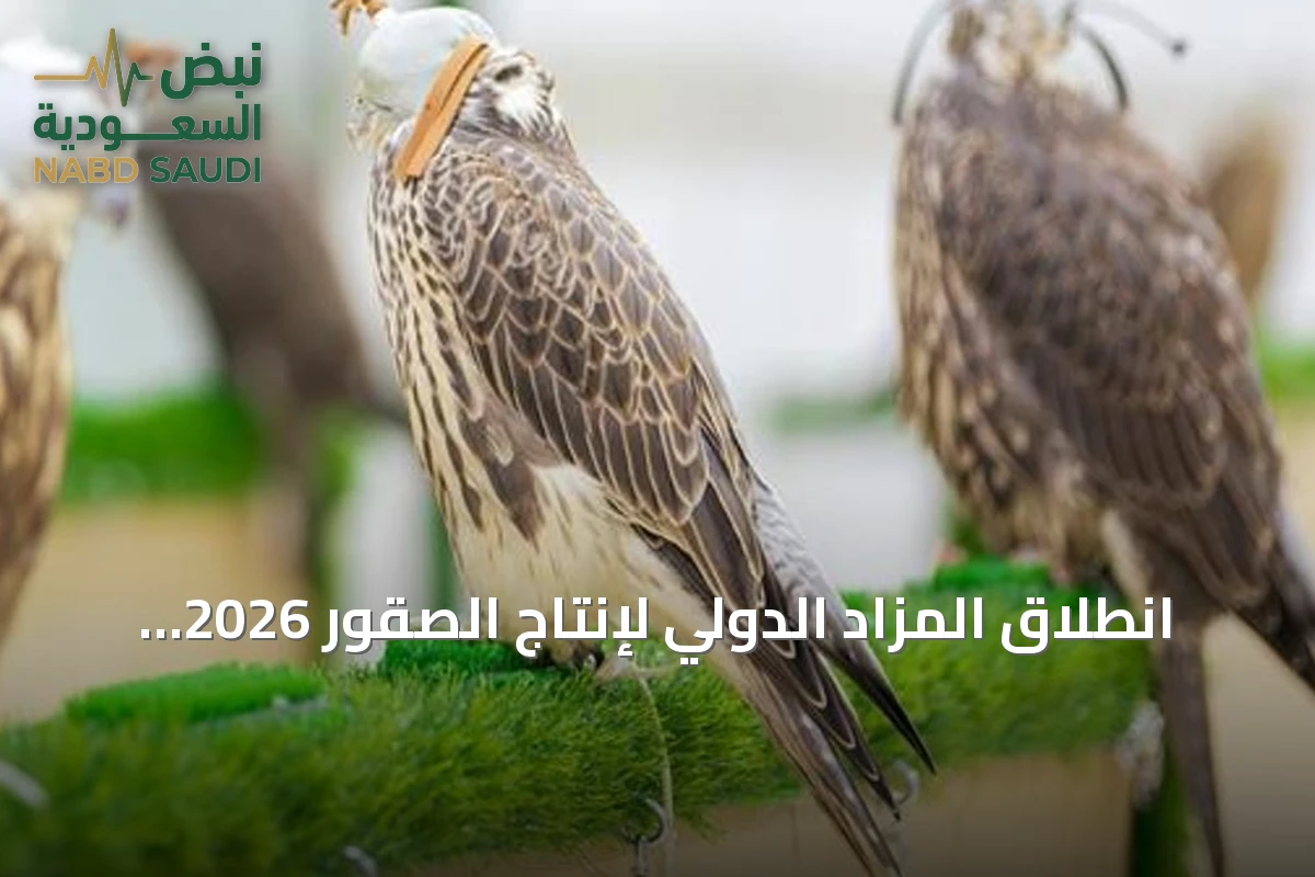 انطلاق المزاد الدولي لإنتاج الصقور 2026 في الرياض بمشاركة محلية ودولية