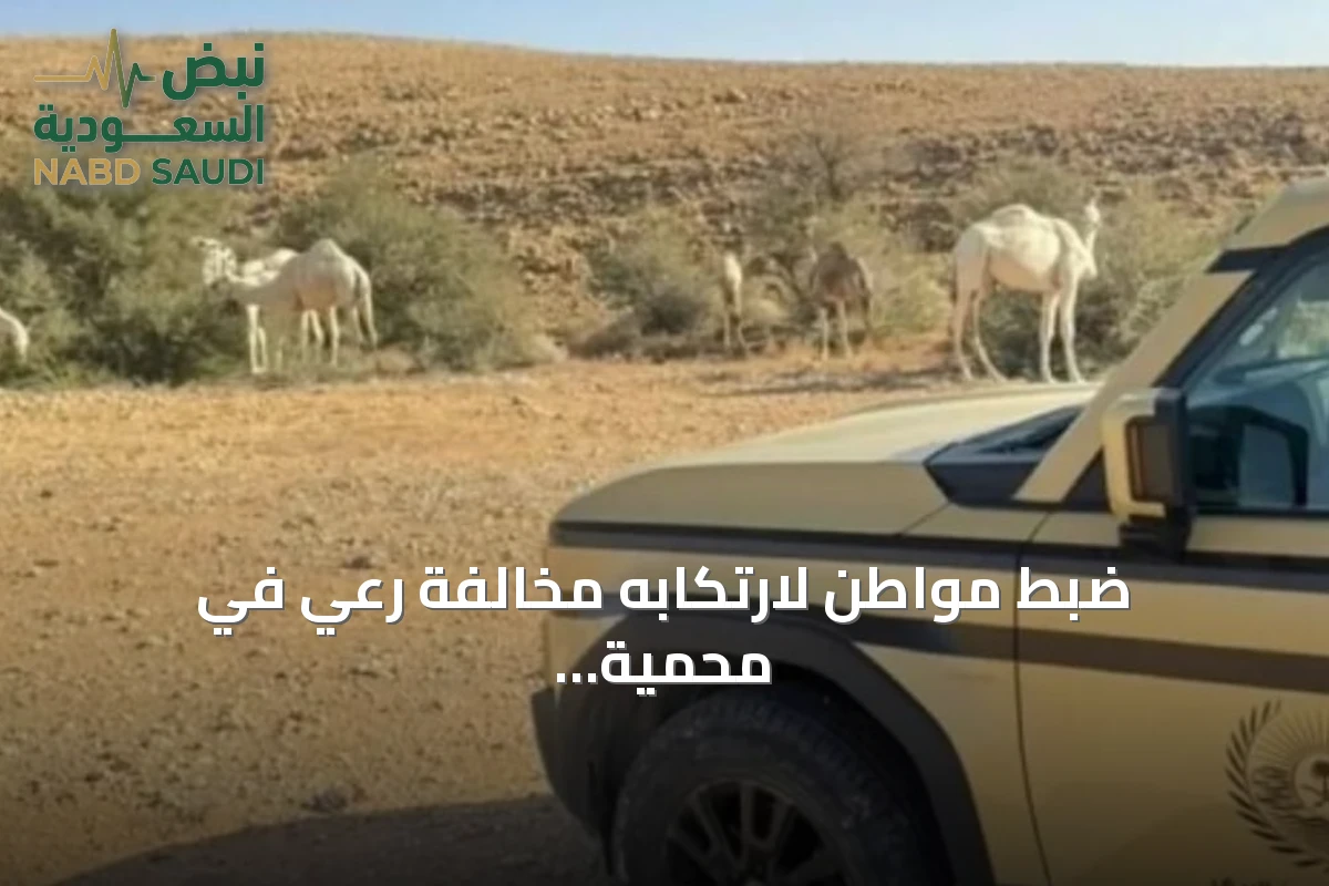 ضبط مواطن لارتكابه مخالفة رعي في محمية الملك عبدالعزيز الملكية