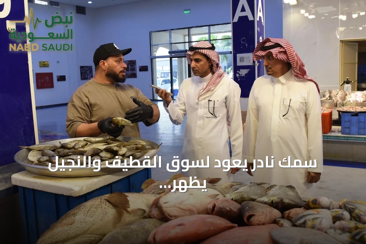 سمك نادر يعود لسوق القطيف والنجيل يظهر بسعر تسعين ريالاً لكل كيلوغرام