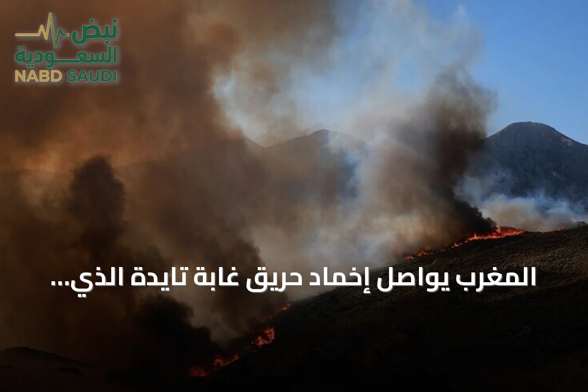 المغرب يواصل إخماد حريق غابة تايدة الذي التهم 120 هكتاراً