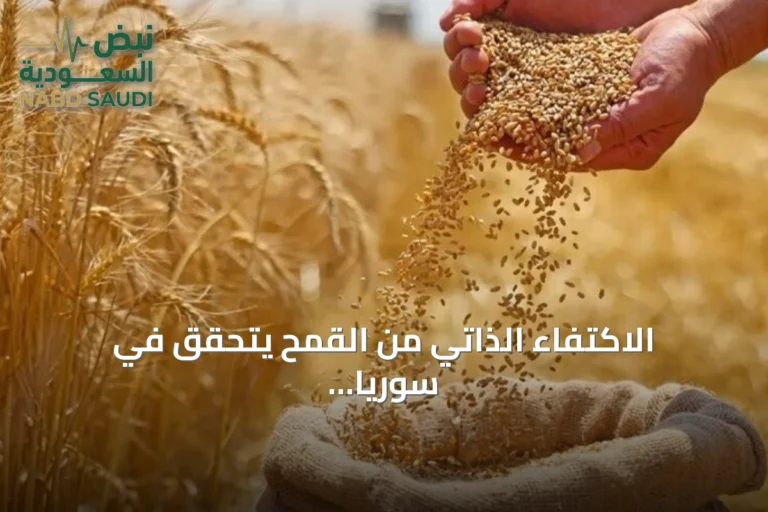 الاكتفاء الذاتي من القمح يتحقق في سوريا بعد فائض الإنتاج