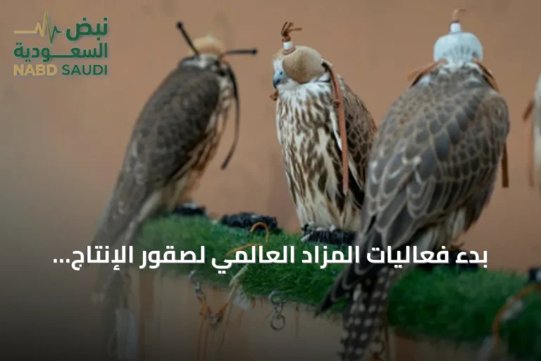 بدء فعاليات المزاد العالمي لصقور الإنتاج لعام 2026