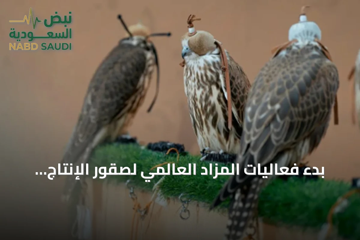 بدء فعاليات المزاد العالمي لصقور الإنتاج لعام 2026