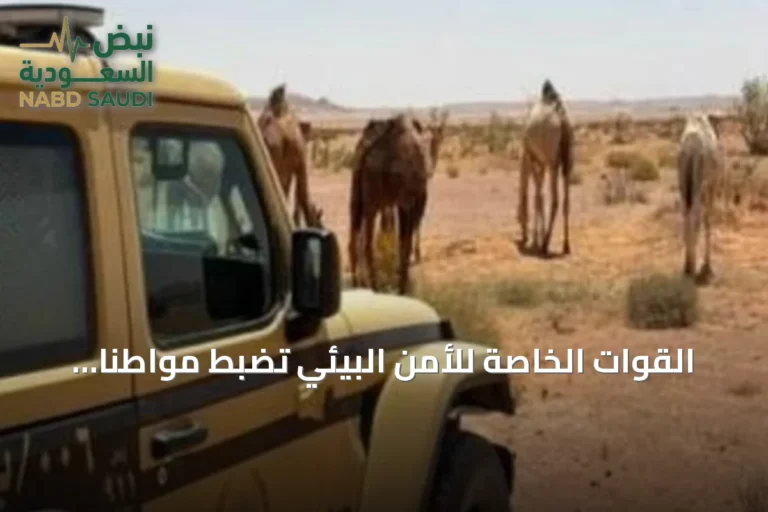 القوات الخاصة للأمن البيئي تضبط مواطناً لرعي الإبل داخل محمية الملك عبدالعزيز