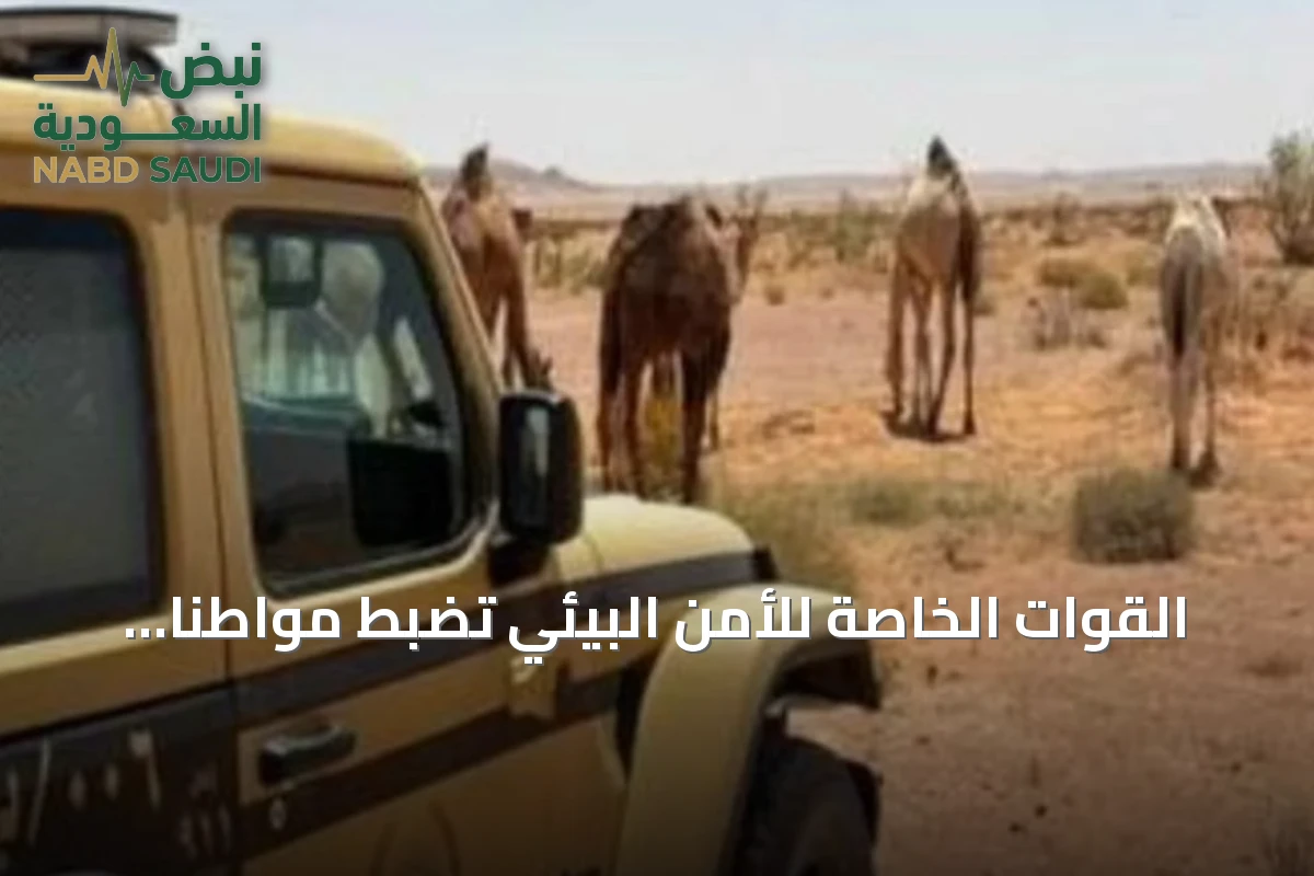 القوات الخاصة للأمن البيئي تضبط مواطناً لرعي الإبل داخل محمية الملك عبدالعزيز