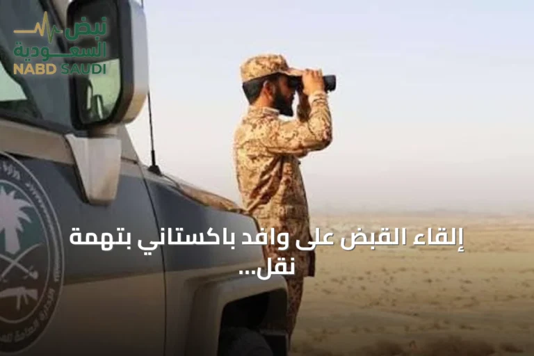 إلقاء القبض على وافد باكستاني بتهمة نقل عشرة متسللين يمنيين في جازان
