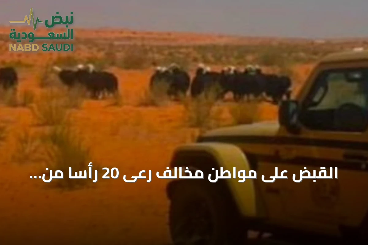 القبض على مواطن مخالف رعى 20 رأساً من الأغنام داخل محمية الإمام تركي بن عبدالله