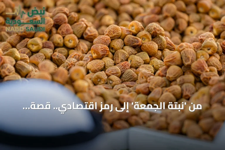 من 'نبتة الجمعة' إلى رمز اقتصادي.. قصة تمر السكري في القصيم