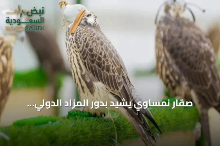 صقار نمساوي يشيد بدور المزاد الدولي للصقور في تعزيز ثقة المزارع الأوروبية