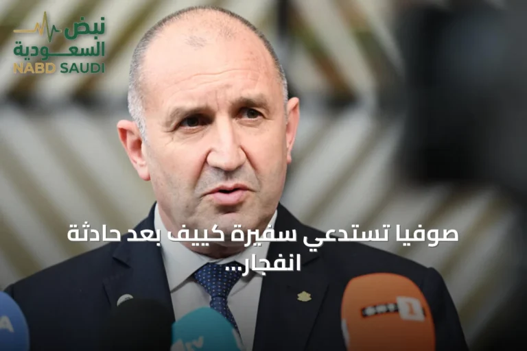 صوفيا تستدعي سفيرة كييف بعد حادثة انفجار طائرة مسيرة قرب حدود رومانيا
