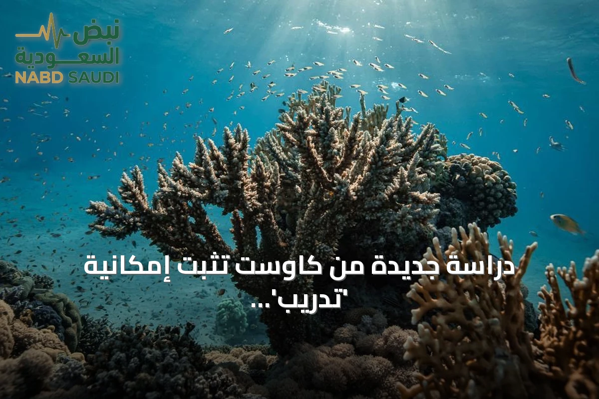 دراسة جديدة من كاوست تثبت إمكانية 'تدريب' المرجان على مقاومة الأمراض