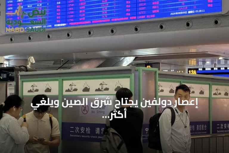 إعصار دولفين يجتاح شرق الصين ويُلغي أكثر من ألف رحلة جوية