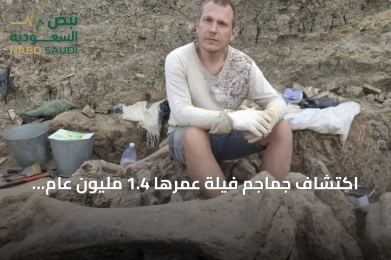اكتشاف جماجم فيلة عمرها 1.4 مليون عام بالقرب من بحر آزوف