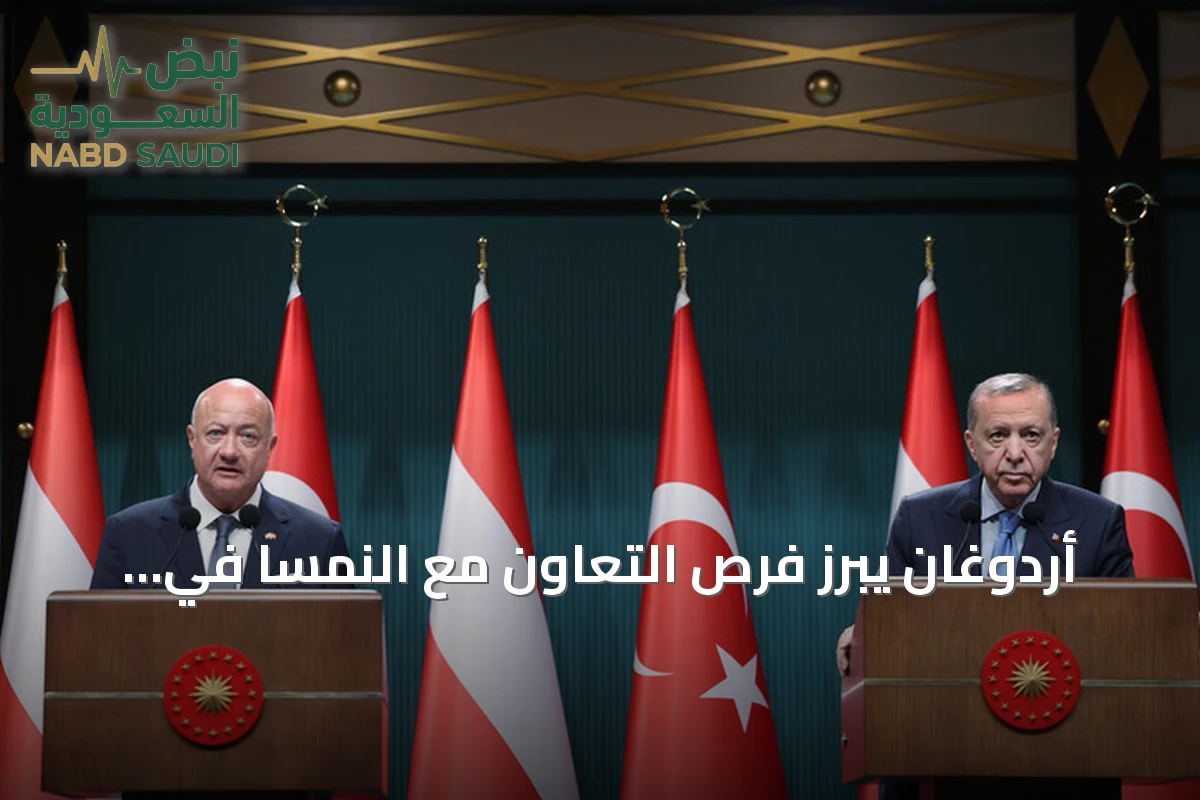 أردوغان يبرز فرص التعاون مع النمسا في الطاقة والدفاع