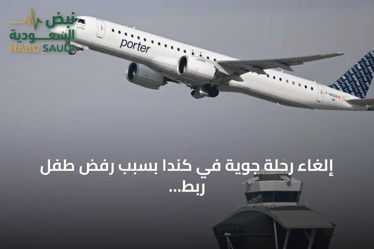 إلغاء رحلة جوية في كندا بسبب رفض طفل ربط حزام الأمان