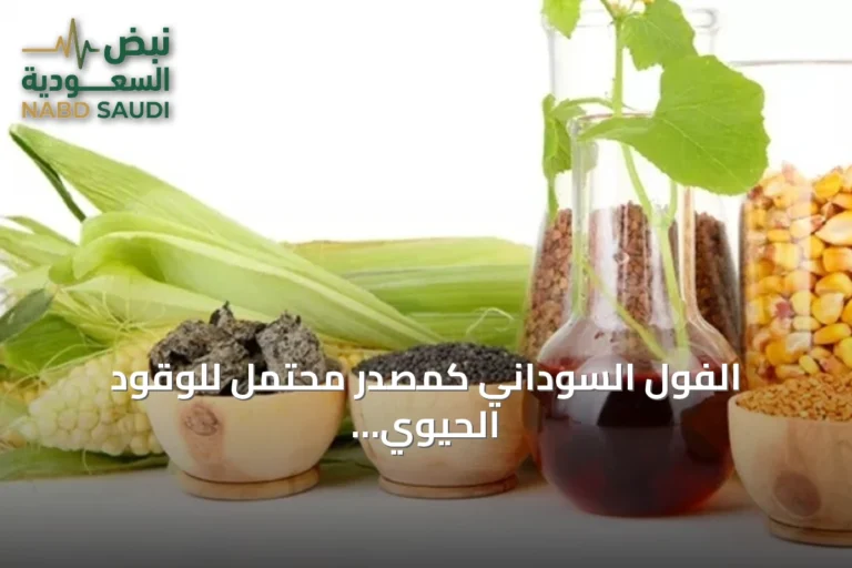 الفول السوداني كمصدر محتمل للوقود الحيوي: من تجربة ديزل إلى التحديات الحالية