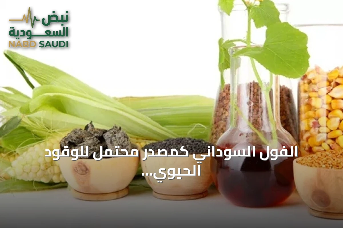 الفول السوداني كمصدر محتمل للوقود الحيوي: من تجربة ديزل إلى التحديات الحالية