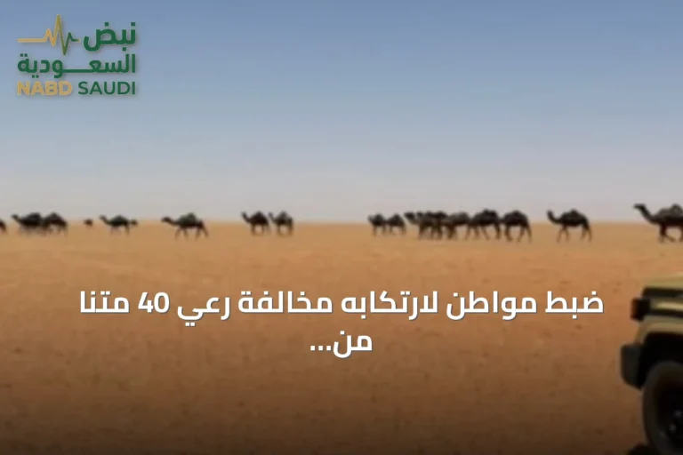 ضبط مواطن لارتكابه مخالفة رعي 40 متنًا من الإبل في محمية الإمام تركي بن عبدالله الملكية