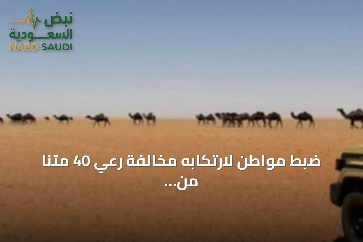ضبط مواطن لارتكابه مخالفة رعي 40 متنًا من الإبل في محمية الإمام تركي بن عبدالله الملكية