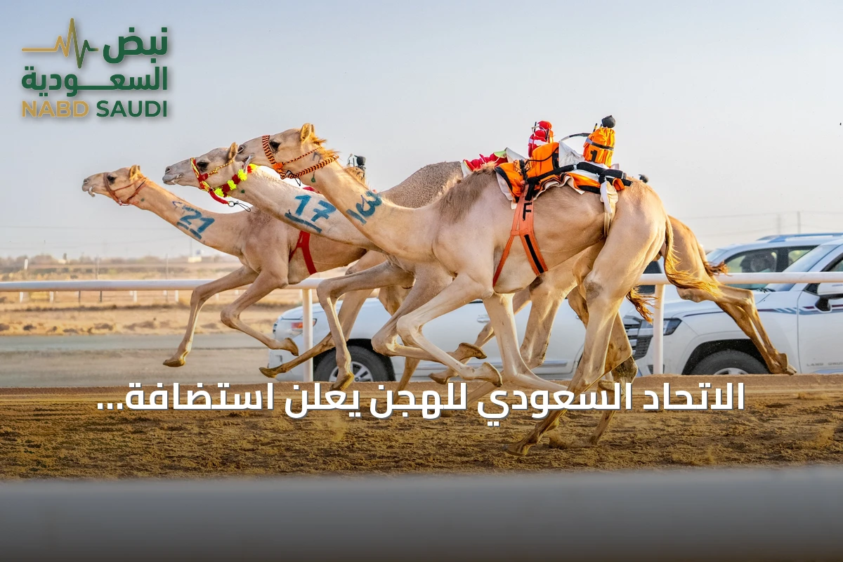الاتحاد السعودي للهجن يُعلن استضافة الأشواط العربية في مهرجان ولي العهد 2026 بالطائف