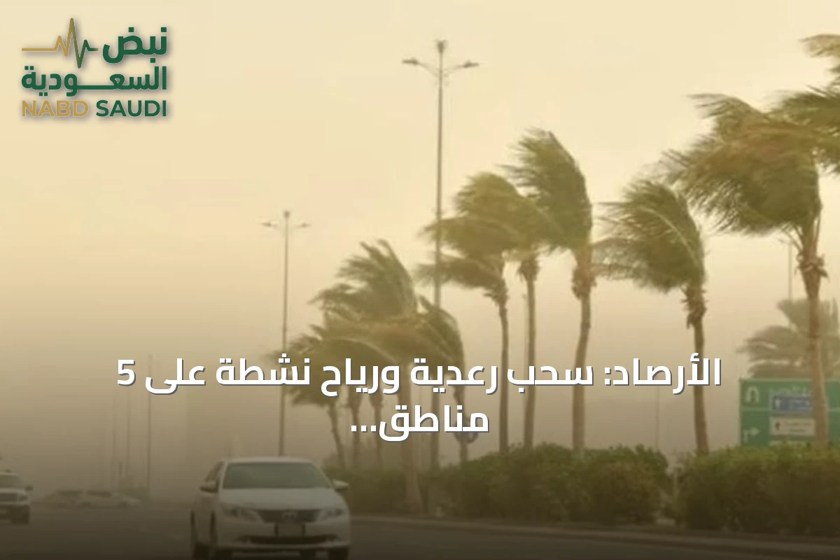 الأرصاد: سحب رعدية ورياح نشطة على 5 مناطق وارتفاع الحرارة في الشرقية والوسطى