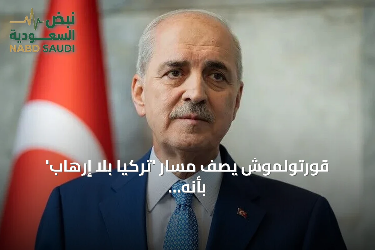 قورتولموش يصف مسار 'تركيا بلا إرهاب' بأنه نموذج وطني خالص لا يحتاج طرفاً ثالثاً