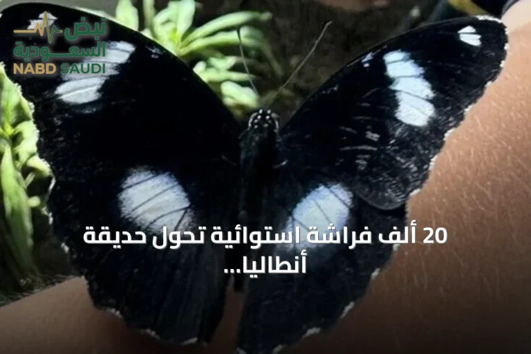 20 ألف فراشة استوائية تحوّل حديقة أنطاليا إلى وجهة سياحية فريدة