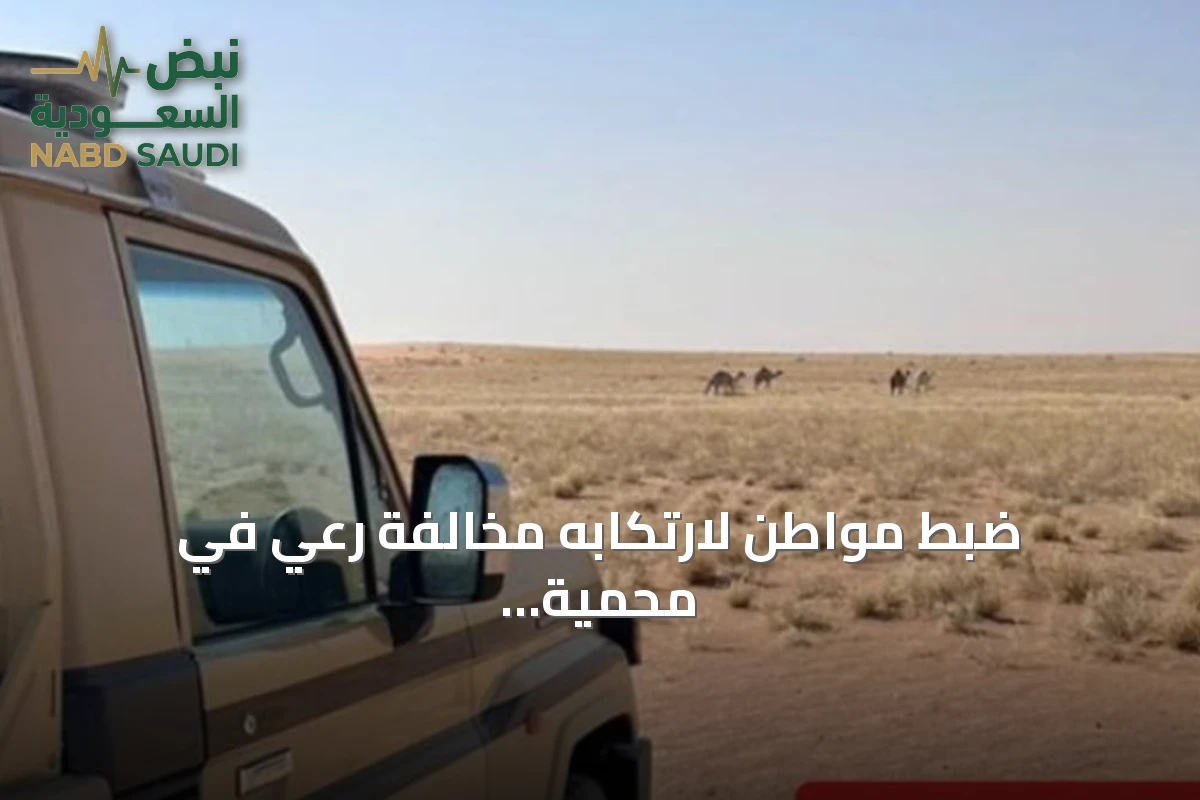 ضبط مواطن لارتكابه مخالفة رعي في محمية الملك عبدالعزيز الملكية