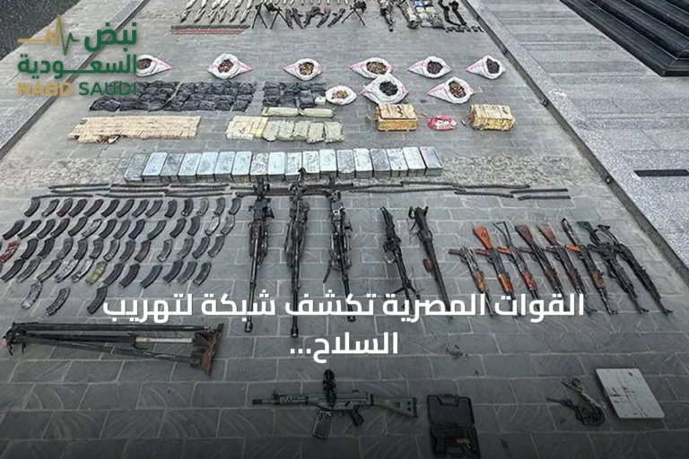 القوات المصرية تكشف شبكة لتهريب السلاح جنوب البلاد وتضبط أجانب