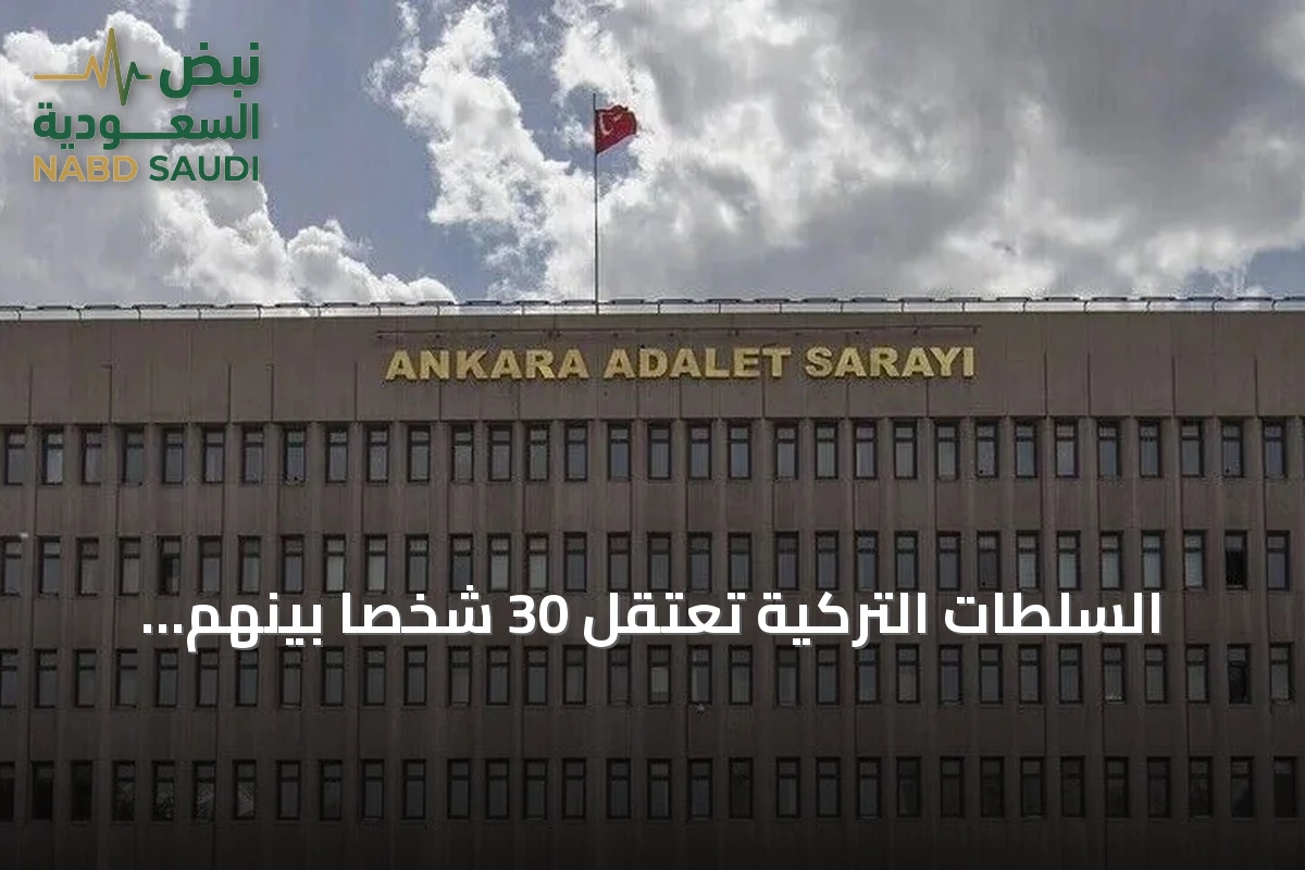 السلطات التركية تعتقل 30 شخصاً بينهم المتهم بقيادة منظمة إجرامية