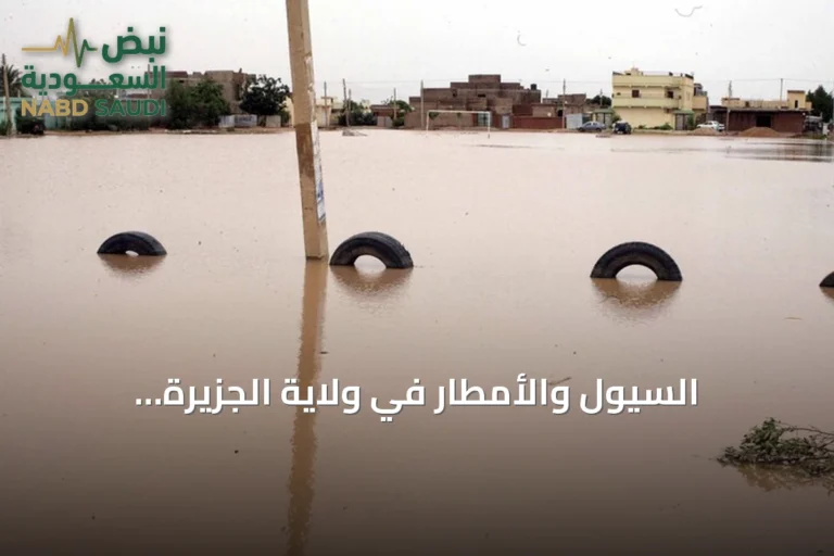السيول والأمطار في ولاية الجزيرة السودانية تخلف قتيلاً وجرحى وأضراراً واسعة