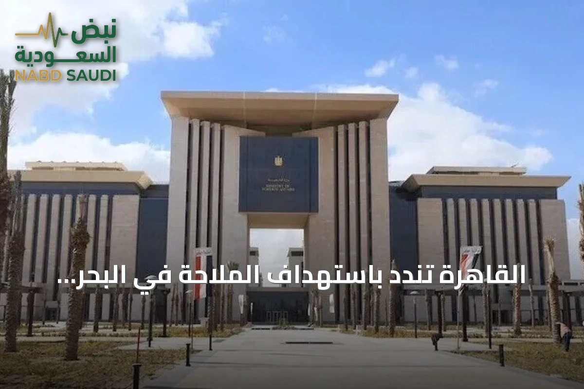 القاهرة تندد باستهداف الملاحة في البحر الأحمر وتنفي تسجيل سفينة تعرضت لهجوم