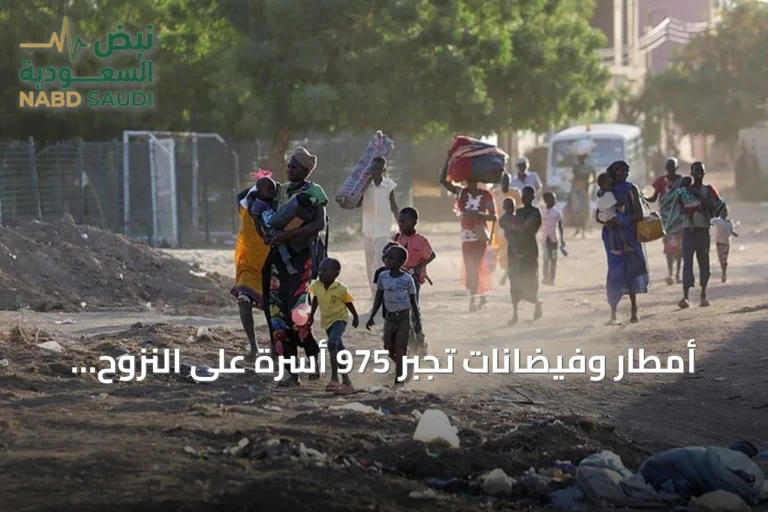 أمطار وفيضانات تجبر 975 أسرة على النزوح وتتلف 1348 منزلاً في شمال دارفور