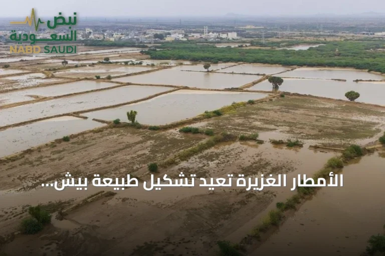 الأمطار الغزيرة تعيد تشكيل طبيعة بيش وتحولها إلى مقصد للزوار