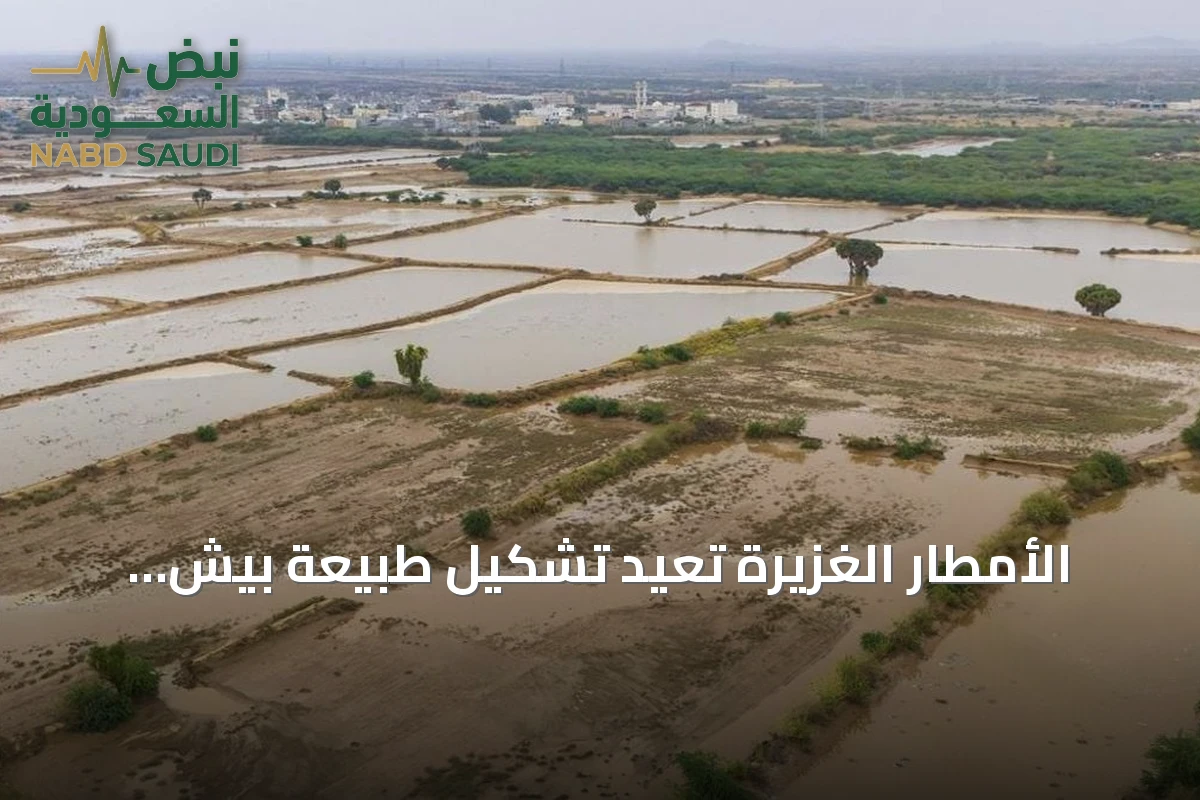 الأمطار الغزيرة تعيد تشكيل طبيعة بيش وتحولها إلى مقصد للزوار