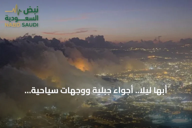 أبها ليلاً.. أجواء جبلية ووجهات سياحية تنبض بالحياة