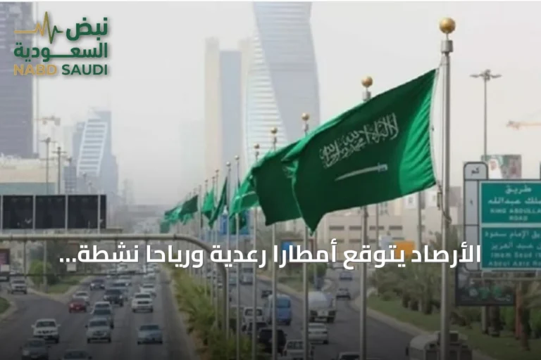 الأرصاد يتوقع أمطارًا رعدية ورياحًا نشطة على عدة مناطق اليوم الخميس