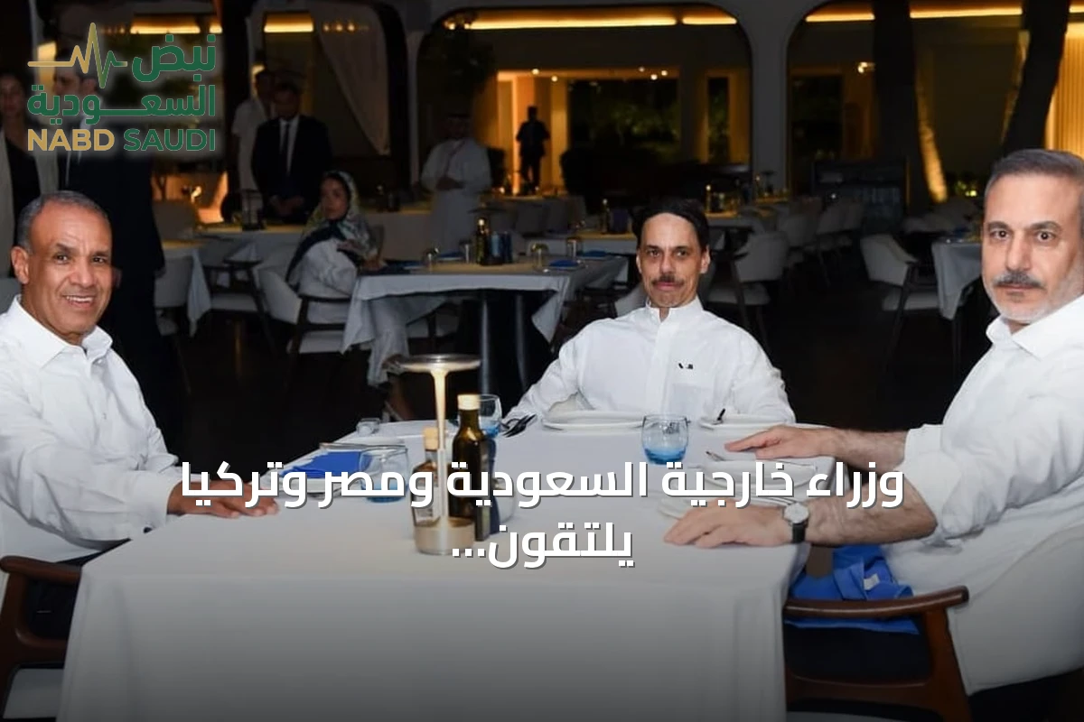 وزراء خارجية السعودية ومصر وتركيا يلتقون في العلمين لبحث تطورات المنطقة