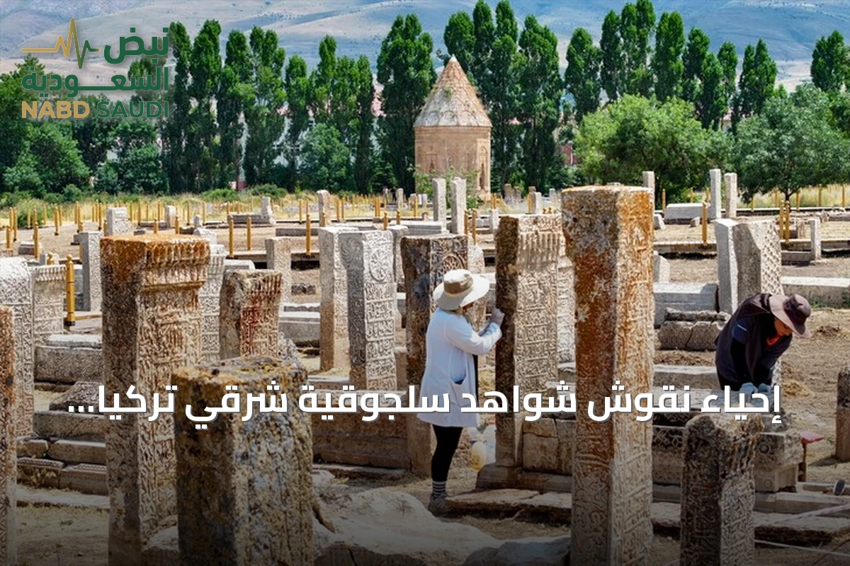 إحياء نقوش شواهد سلجوقية شرقي تركيا باستخدام مشارط جراحية