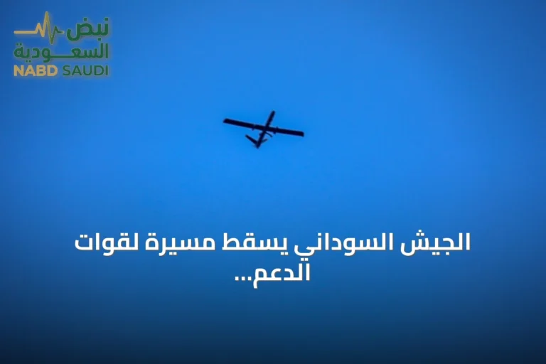 الجيش السوداني يُسقط مسيّرة لقوات الدعم السريع في شمال كردفان