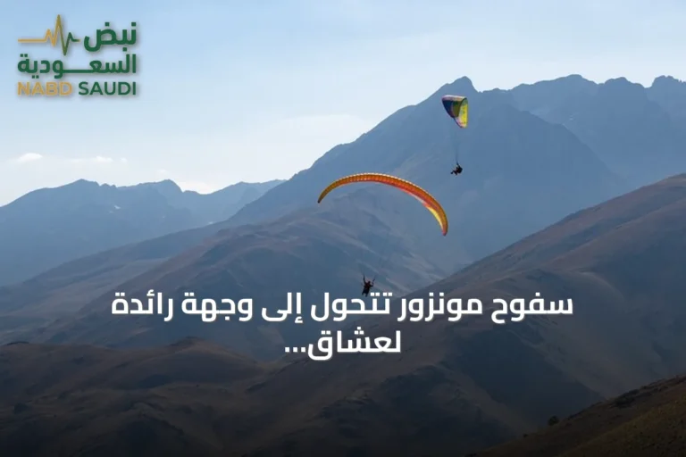 سفوح مونزور تتحول إلى وجهة رائدة لعشاق الطيران الشراعي بشرق تركيا