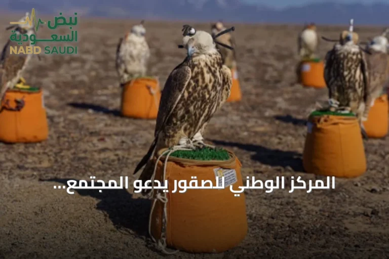 المركز الوطني للصقور يدعو المجتمع للمشاركة في تحضير إطلاق برنامج «هدد» 2027
